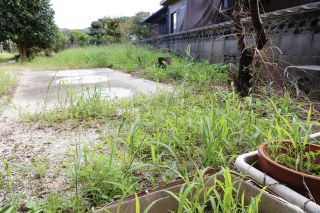 全員が相続放棄しても土地の管理義務は残る